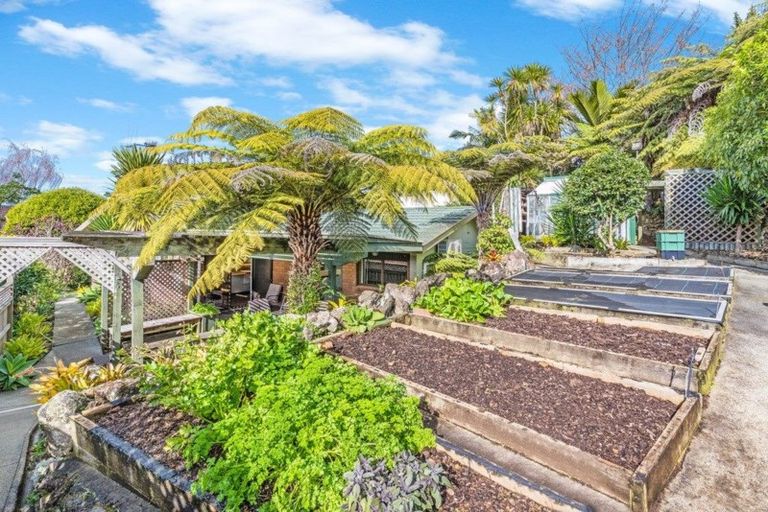 Photo of property in 14 Magnolia Avenue, Te Kamo, Whangarei, 0112