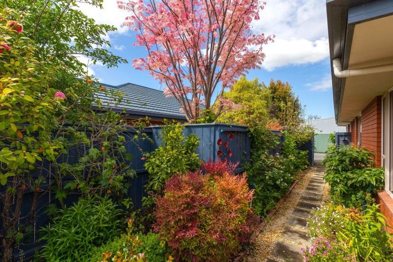 Photo of property in 12c Carvell Street, Blenheim, 7201