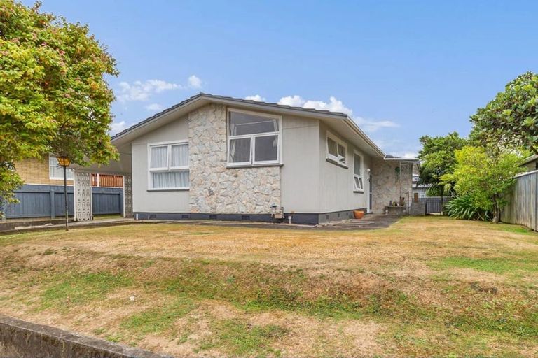 Photo of property in 12 Regal Street, Levin, 5510