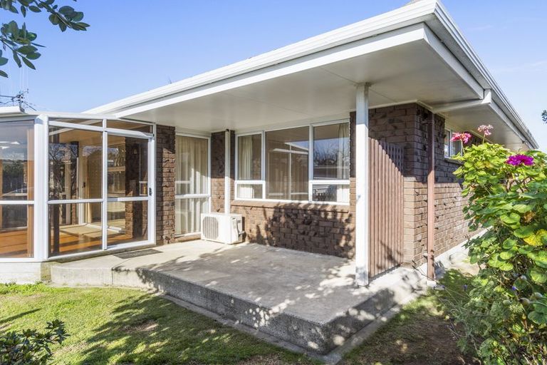 Photo of property in 3a Strathmore Way, Matua, Tauranga, 3110