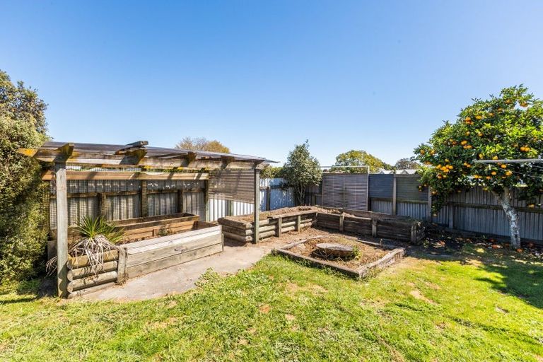 Photo of property in 810 Williams Street, Mahora, Hastings, 4120