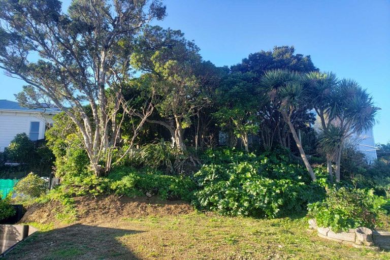 Photo of property in 55 Fairview Crescent, Kelburn, Wellington, 6012