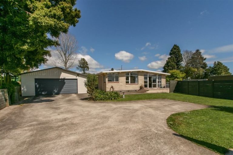 Photo of property in 46 Tarata Road, Inglewood, 4387