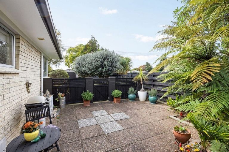 Photo of property in 164 Burns Street, Leamington, Cambridge, 3432