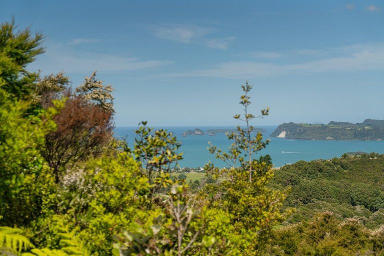 Photo of property in 57 Tarapatiki Drive, Whitianga, 3510