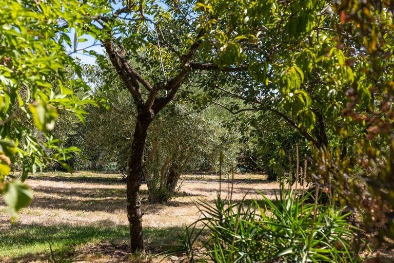 Photo of property in 540 Brookby Road, Hawkesbury, Blenheim, 7272