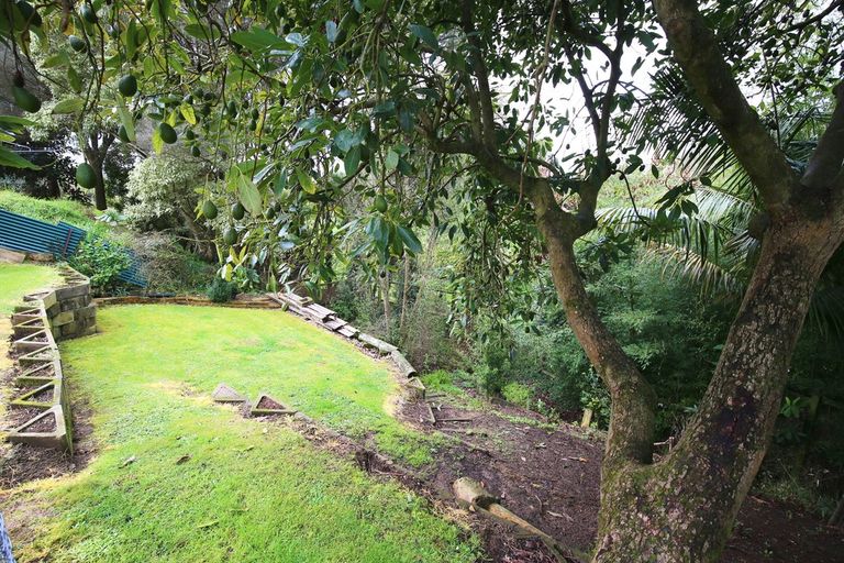 Photo of property in 9 Goodall Street, Dinsdale, Hamilton, 3204