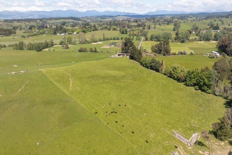 Photo of property in 67 Rosedale Road, Pinehill, Auckland, 0632