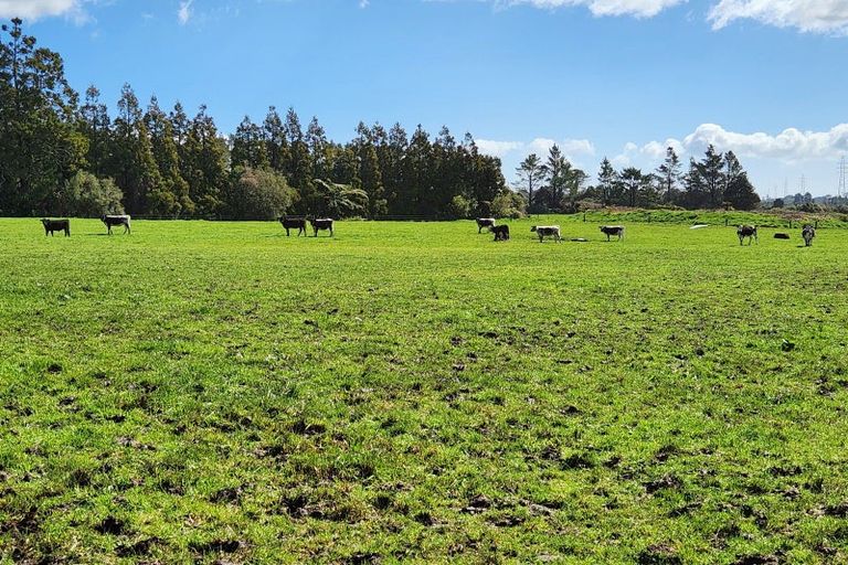 Photo of property in 5 Robson Court, Gate Pa, 3112