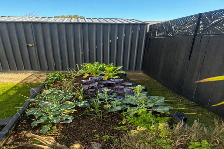 Photo of property in 17 Bayfair Drive, Mount Maunganui, 3116