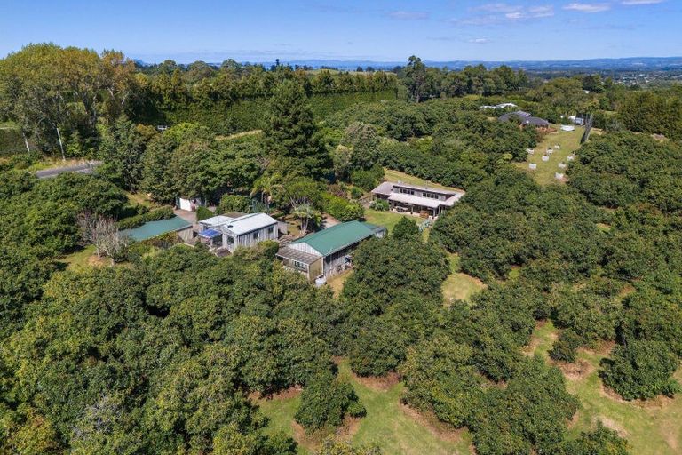 Photo of property in 463 State Highway, Tahawai, Katikati, 3170