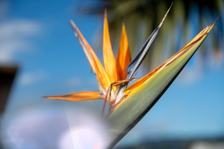 Photo of property in 22 Aperahama Street, Paekakariki, 5034