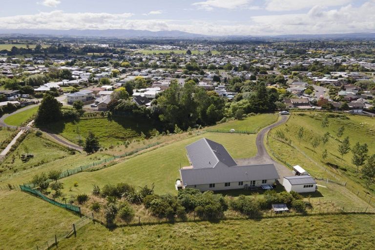 Photo of property in 28 Homelands Avenue, Feilding, 4702