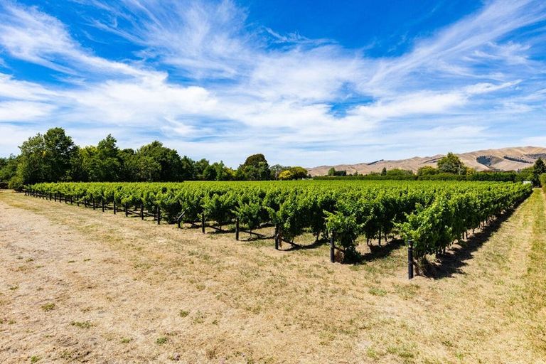 Photo of property in 3009 State Highway 1, Riverlands, Blenheim, 7274