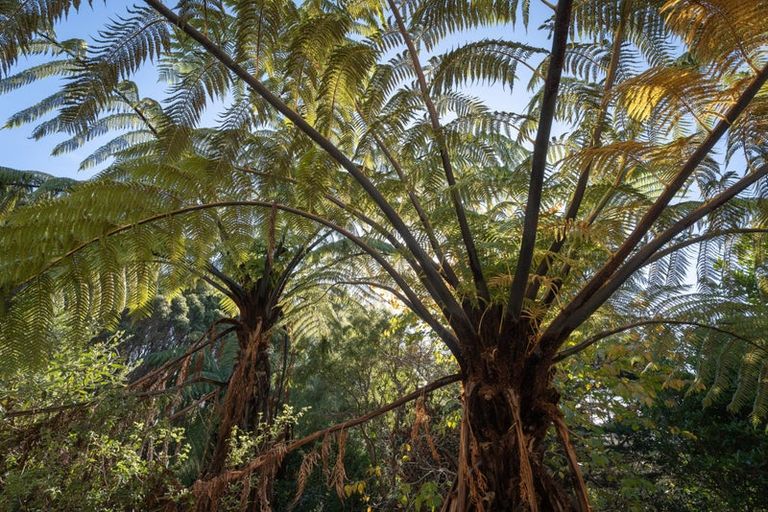 Photo of property in 37 Greyfriars Crescent, Tawa, Wellington, 5028