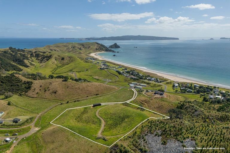 Photo of property in 838 Black Jack Road, Opito Bay, Whitianga, 3592