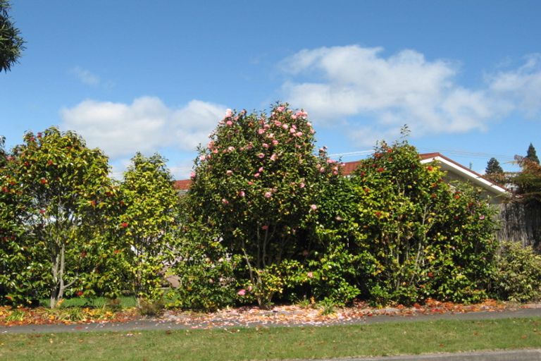 Photo of property in 11 Shera Street, Acacia Bay, Taupo, 3330