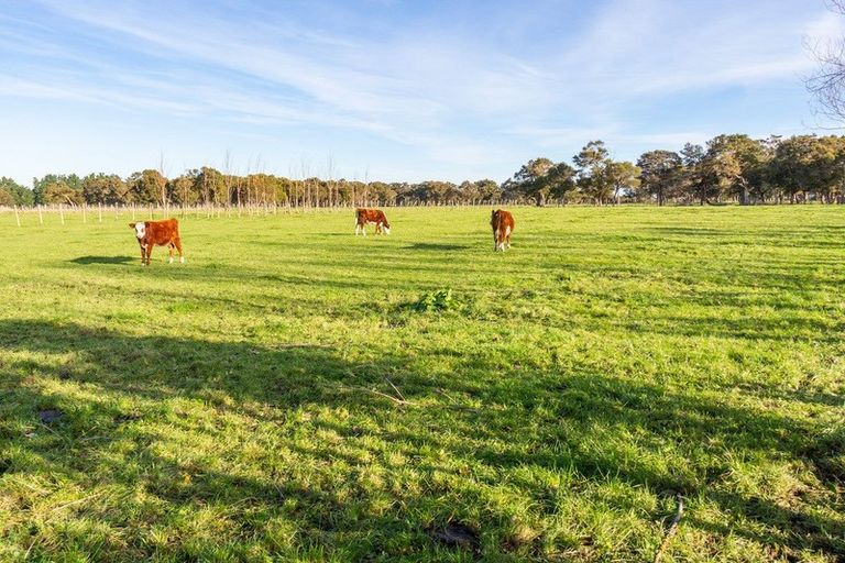 Photo of property in 29 Jordan Road, Waingawa, Carterton, 5791