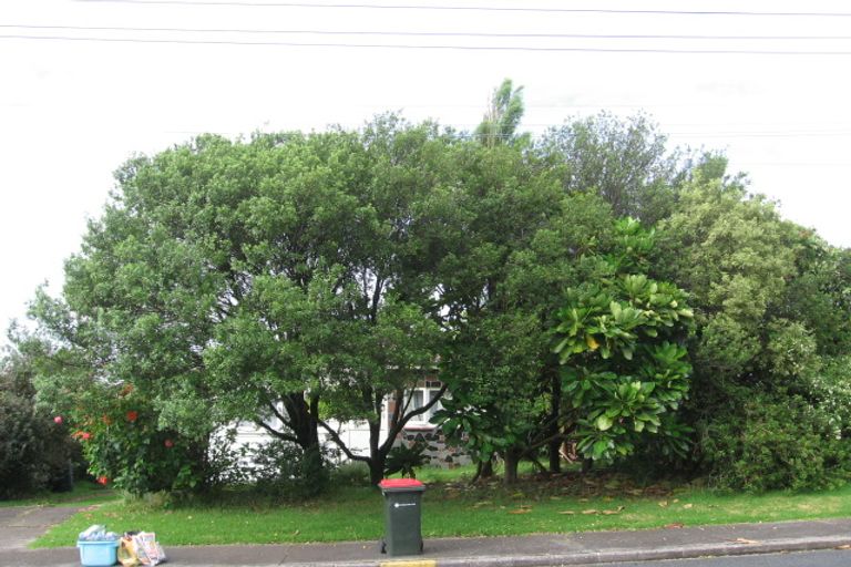 Photo of property in 8 Banks Road, Mount Wellington, Auckland, 1060