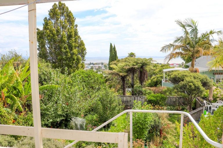 Photo of property in 315 Hill Street, Thames, 3500