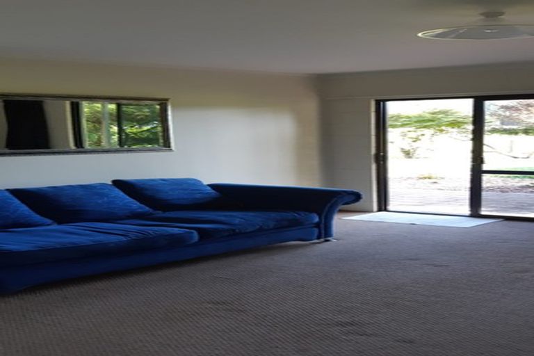 Photo of property in 1085 Motueka River West Bank Road, Motueka Valley, Motueka, 7196