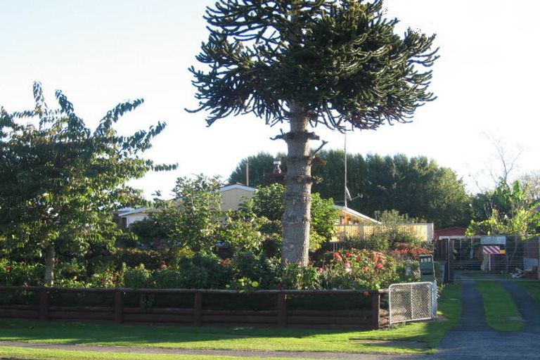 Photo of property in 102 Elizabeth Drive, Tokoroa, 3420