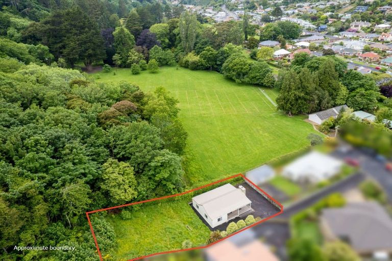 Photo of property in 19 Afton Terrace, North East Valley, Dunedin, 9010