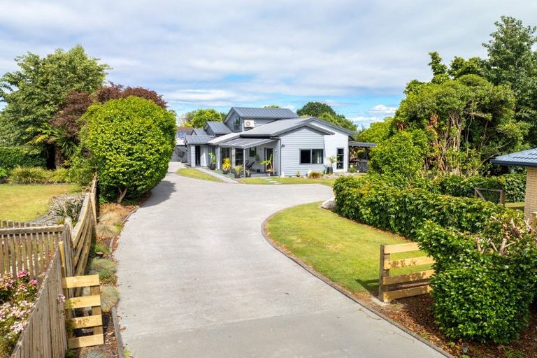 Photo of property in 19 Titoki Street, Matamata, 3400
