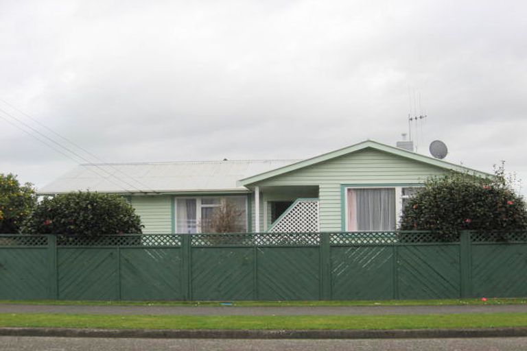 Photo of property in 51 Bristol Street, Levin, 5510