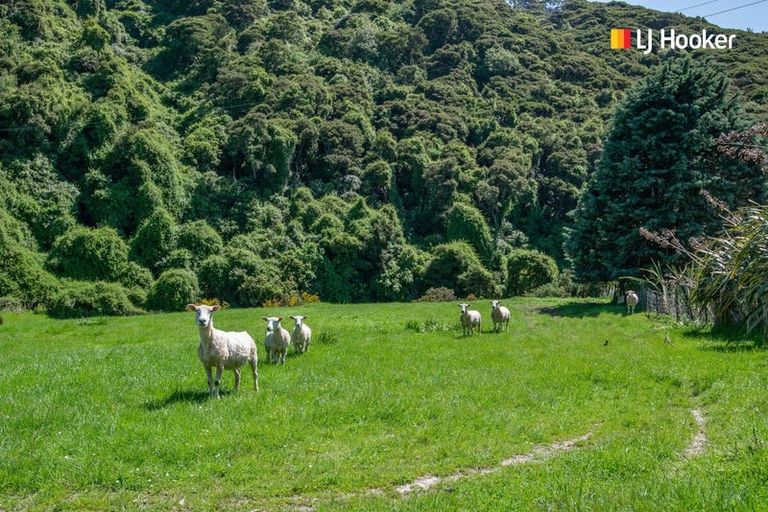 Photo of property in 136 Morris Road, Fairfield, Dunedin, 9076