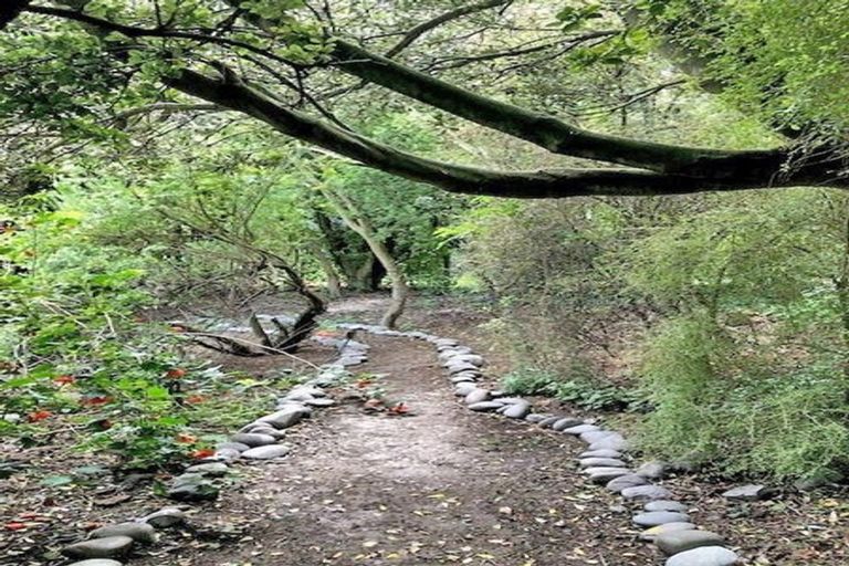 Photo of property in 16 Gordon Street, Southbridge, 7602