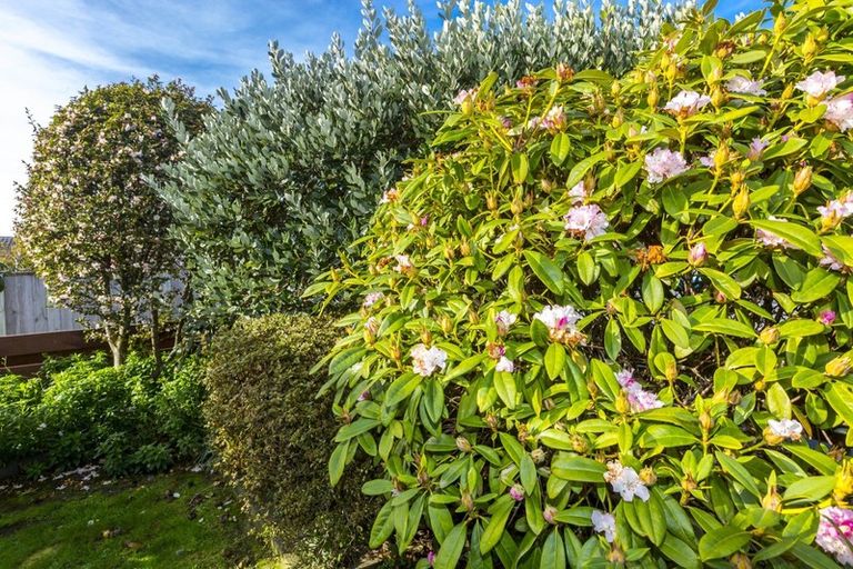 Photo of property in 1/627 Fergusson Drive, Trentham, Upper Hutt, 5018