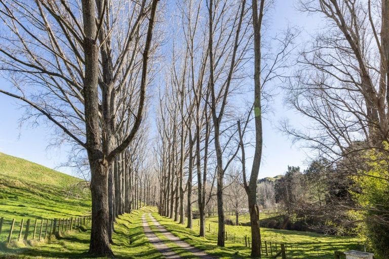 Photo of property in 1209 Puketitiri Road, Puketapu, Napier, 4184