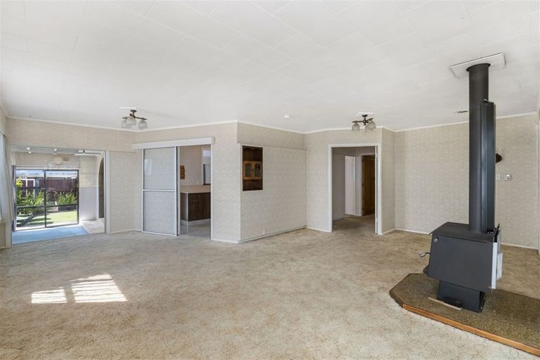 Photo of property in 63 Macarthur Street, Levin, 5510