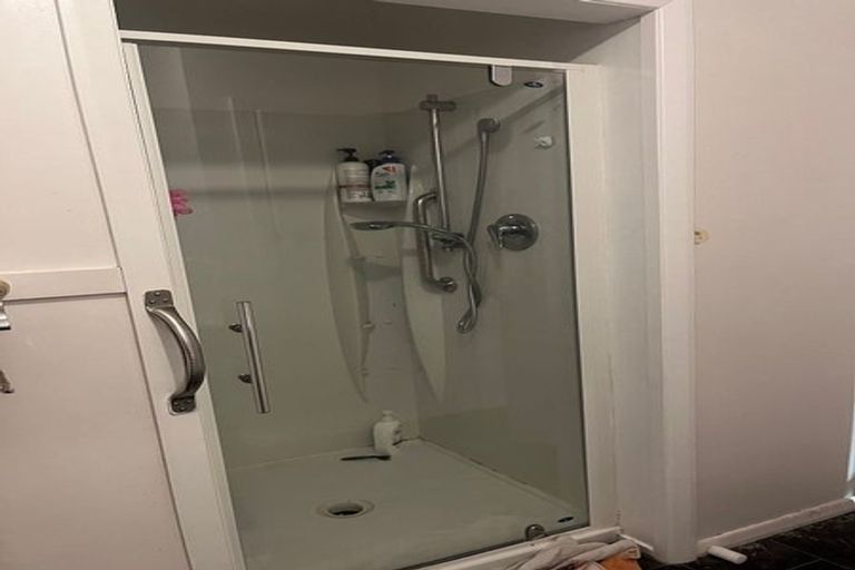 Photo of property in 158 Winchester Street, Levin, 5510