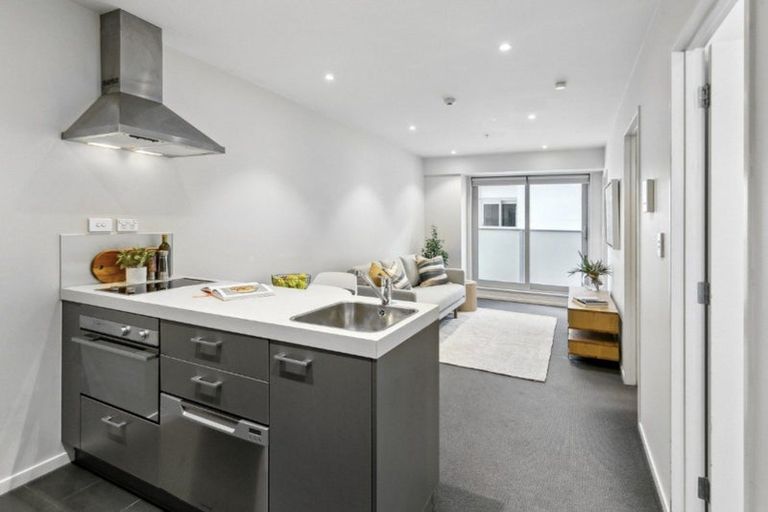 Photo of property in Soho Apartments, 718/74 Taranaki Street, Te Aro, Wellington, 6011