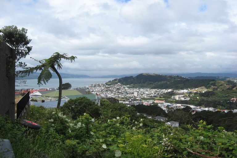 Photo of property in 117 Washington Avenue, Brooklyn, Wellington, 6021