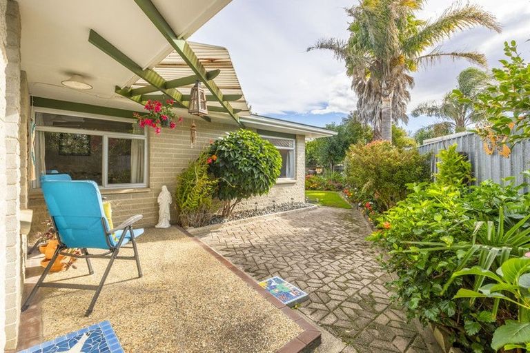 Photo of property in 13 Mckeefry Avenue, Greenmeadows, Napier, 4112