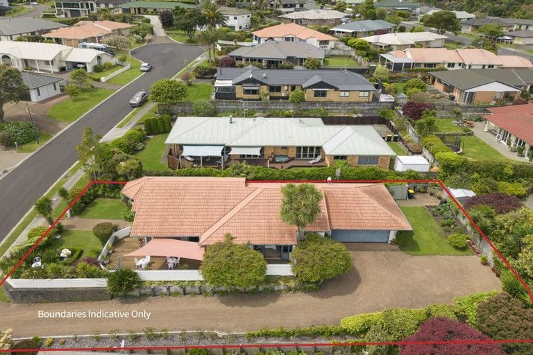 Photo of property in 10 Rochester Place, Bethlehem, Tauranga, 3110