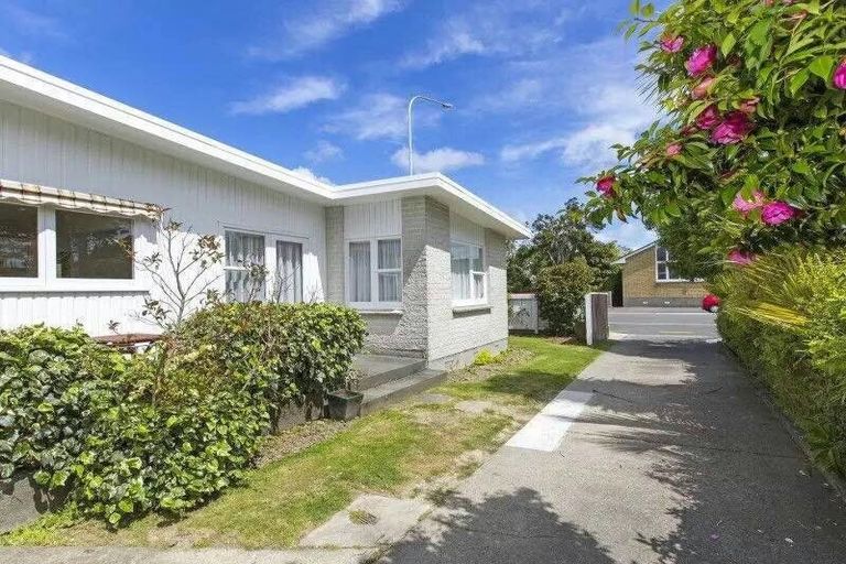 Photo of property in 51 Laings Road, Hutt Central, Lower Hutt, 5010