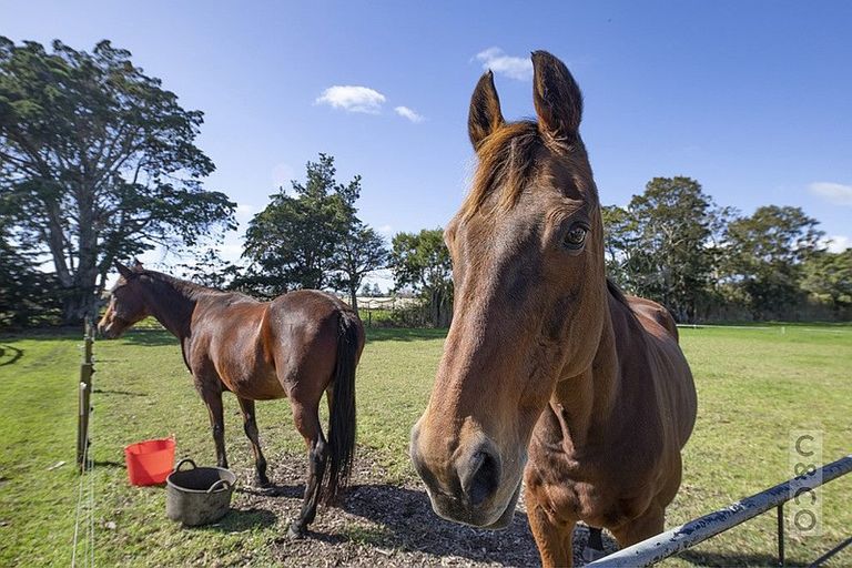 Photo of property in 2246 State Highway 16, Helensville, 0875