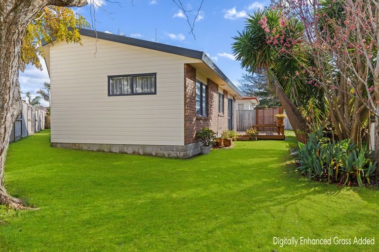 Photo of property in 48 Church Street, Gate Pa, Tauranga, 3112