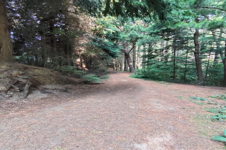 Photo of property in 565 Birch Road East, Herbertville, Dannevirke, 4970