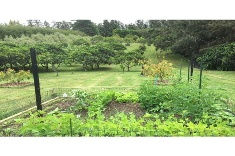 Photo of property in 303 Puketotara Road, Waipapa, Kerikeri, 0295