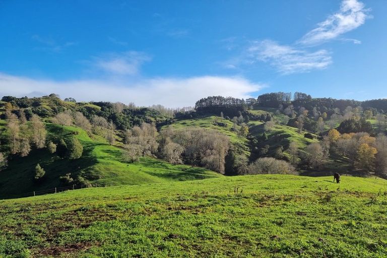 Photo of property in 597 Waitomo Valley Road, Otorohanga, 3977