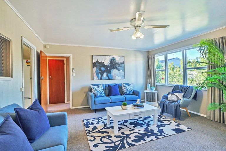 Photo of property in 2/65 Middle Road, Havelock North, 4130