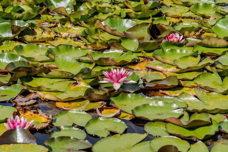 Photo of property in 41a Orchard Road, Kerikeri, 0295