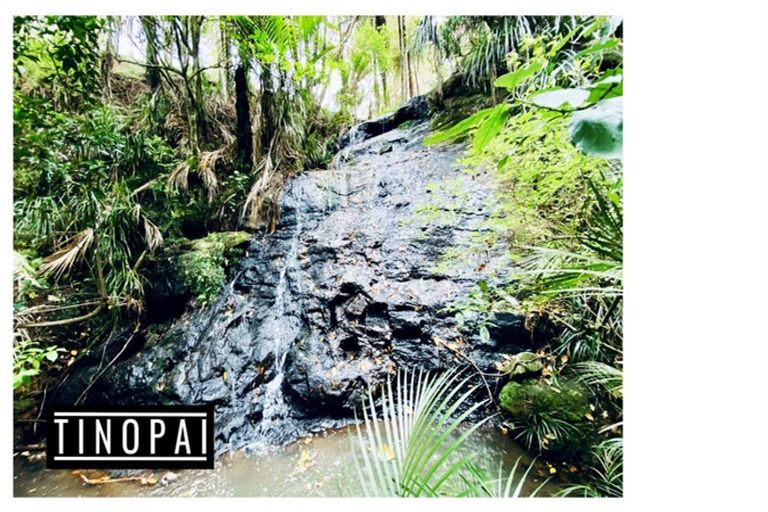 Photo of property in 1509 Tinopai Road, Tinopai, Matakohe, 0593