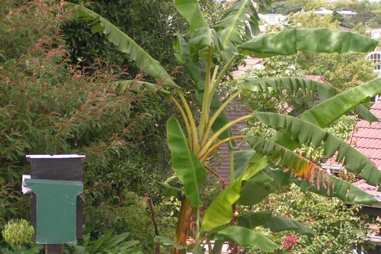 Photo of property in 146/44 Napier Avenue, Takapuna, Auckland, 0622