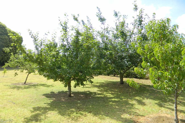 Photo of property in 8 Kendall Road, Kerikeri, 0230